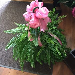 Meet your Posher, Sonja